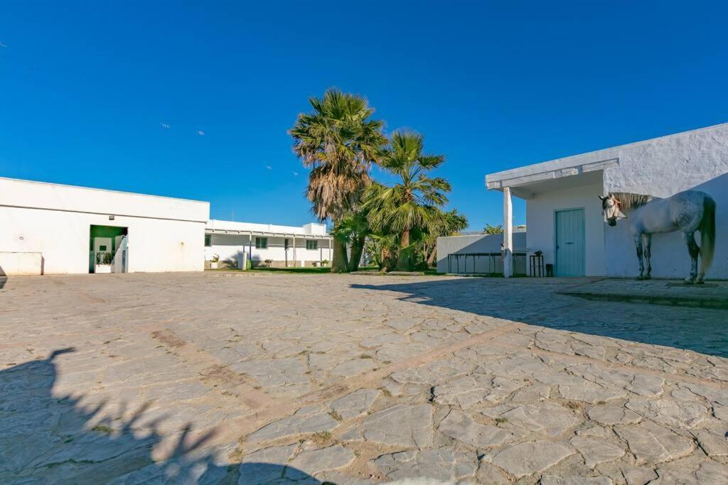 Habitaciones Rurales La Vega ตาริฟา ภายนอก รูปภาพ