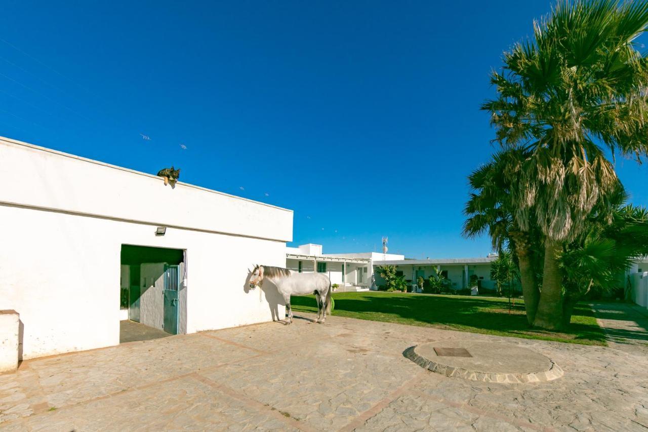 Habitaciones Rurales La Vega ตาริฟา ภายนอก รูปภาพ